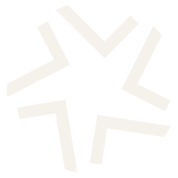 OrionLens Logo Symbol